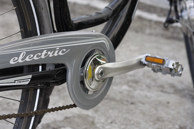 Electric bike