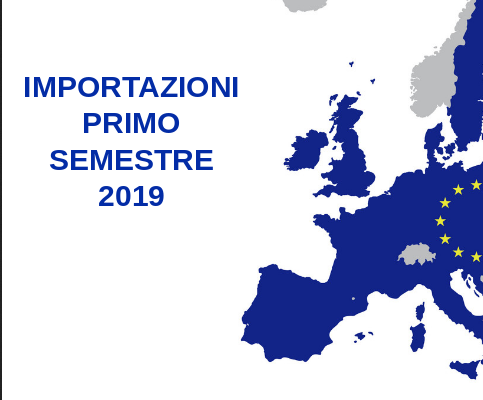 Importazioni UE del primo semestre 2019