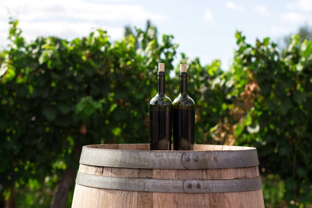 vino