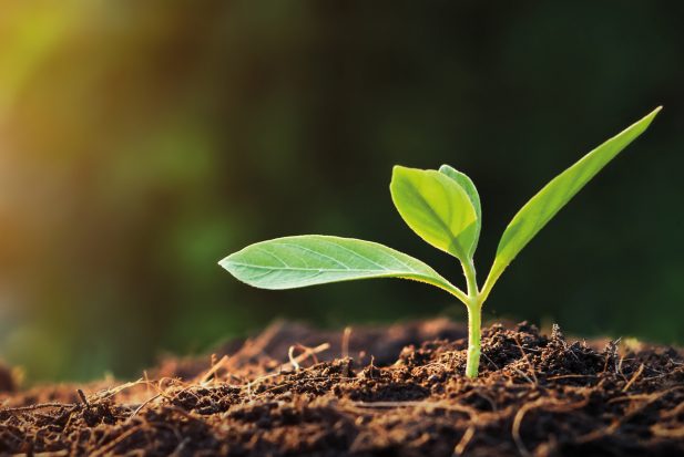 environmental bulb