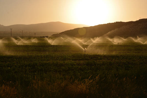 irrigators