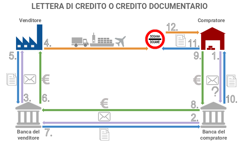 Infografica lettera di credito